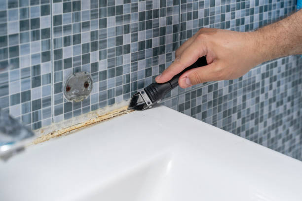 Best Mold Removal Company Near Me  in Martindale, TX