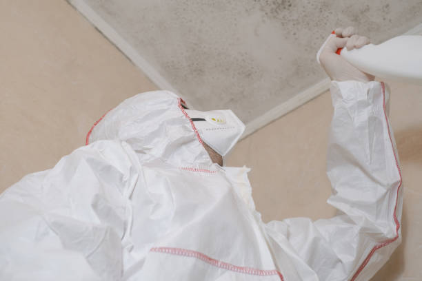 Best Mold Testing  in Martindale, TX