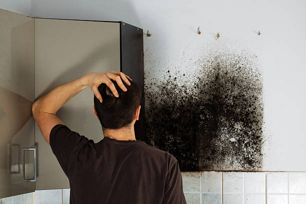 Best Water Damage Restoration  in Martindale, TX